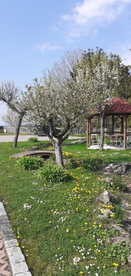 B&B Talstation Horselberg-Hainich Экстерьер фото