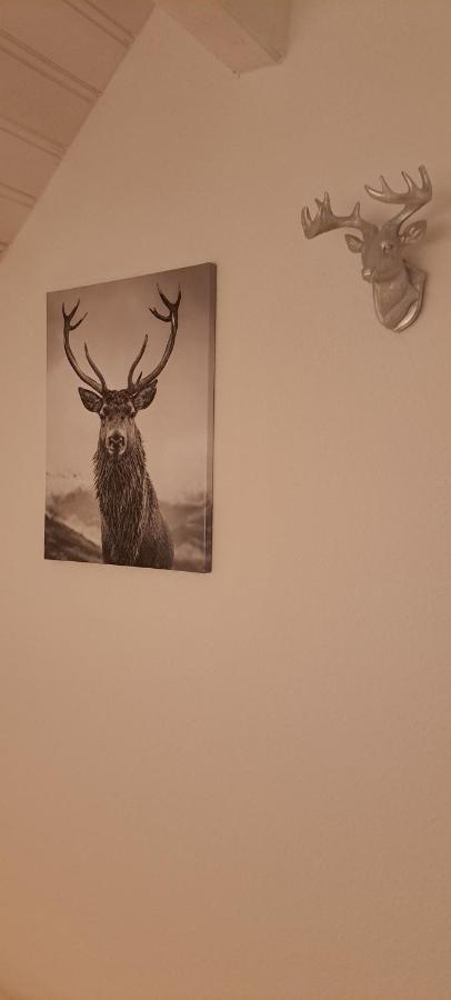 B&B Talstation Horselberg-Hainich Экстерьер фото